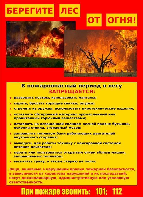 Pozhar v lesu