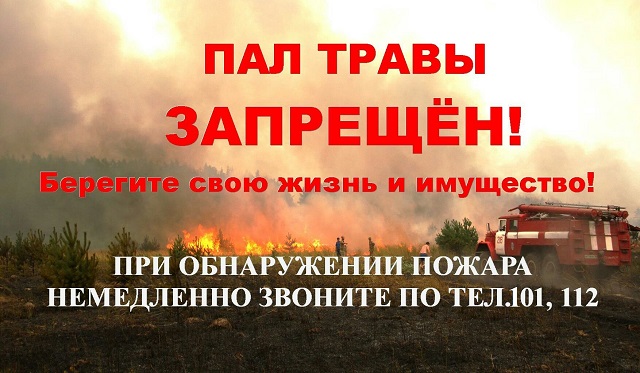 pojar20220330 2